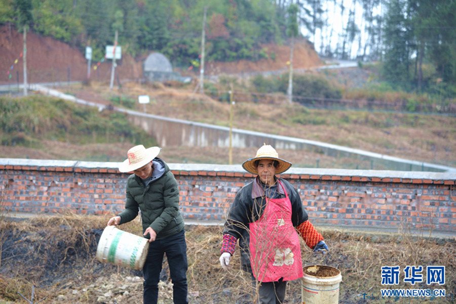 重庆市南川区：“四好农村路”铺就群众幸福路