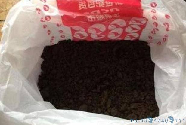 柚子皮都扔了?丢盆里用来养花,花像打了“激素”,狂冒花苞