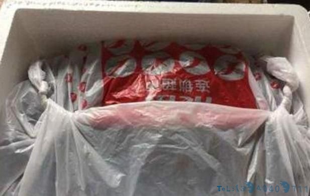 柚子皮都扔了?丢盆里用来养花,花像打了“激素”,狂冒花苞