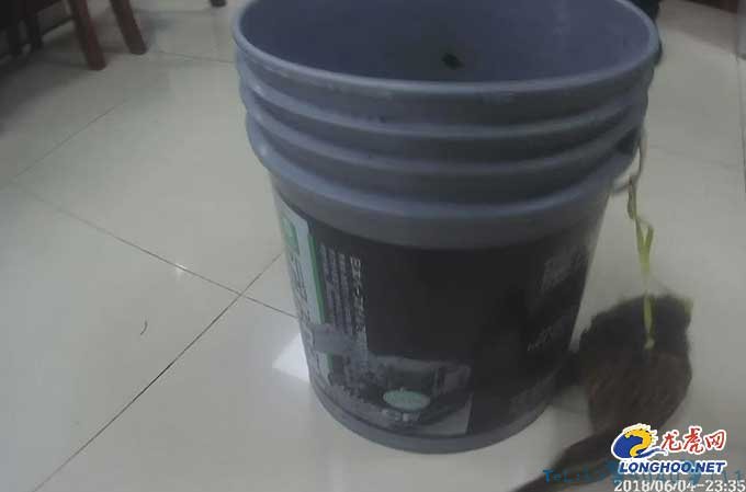 兄弟二人抓小龙虾顺手抓了只野鸭 竟是国家保护动物