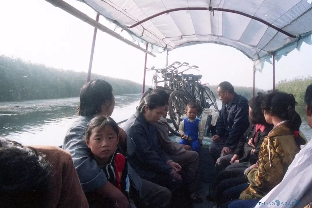 30年前白洋淀老照片！满满都是回忆