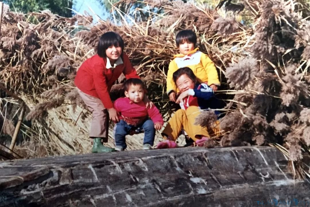 30年前白洋淀老照片！满满都是回忆