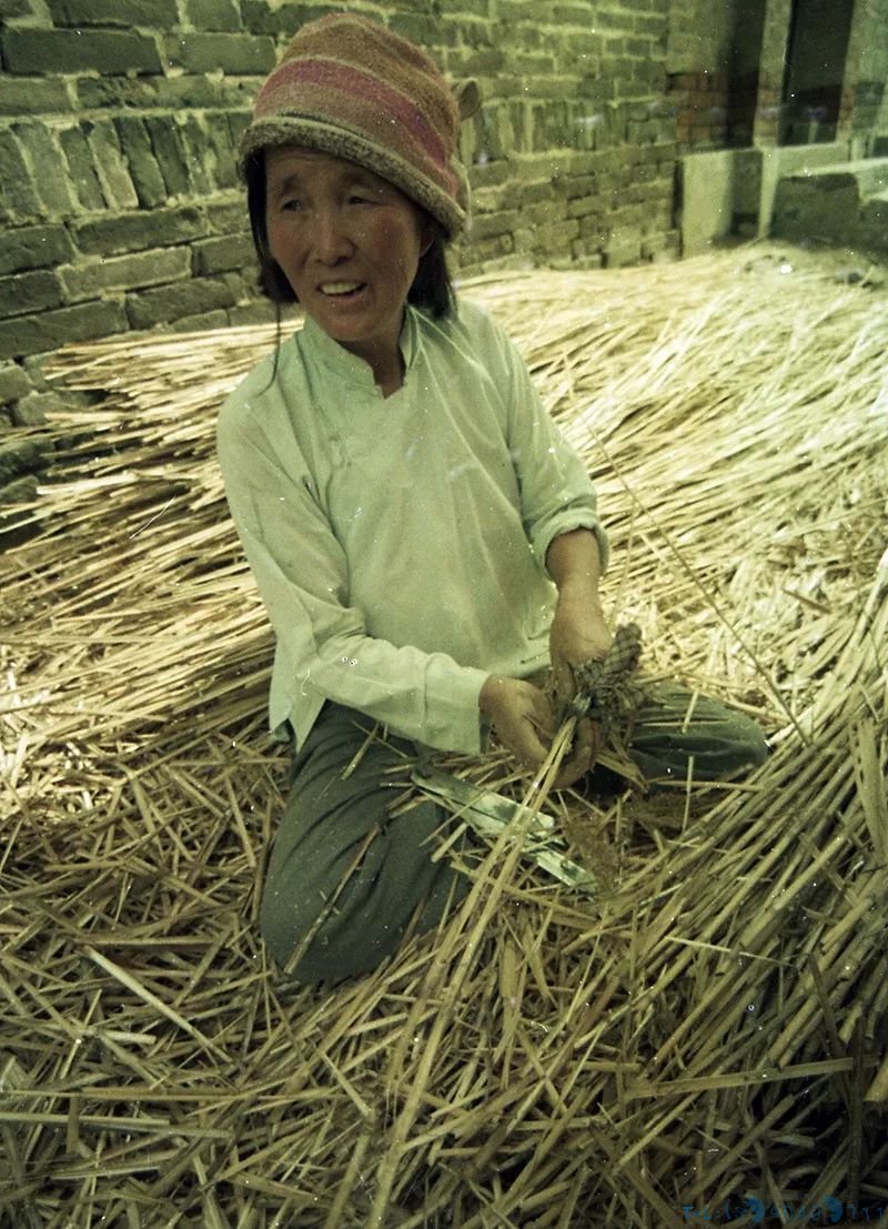 30年前白洋淀老照片！满满都是回忆