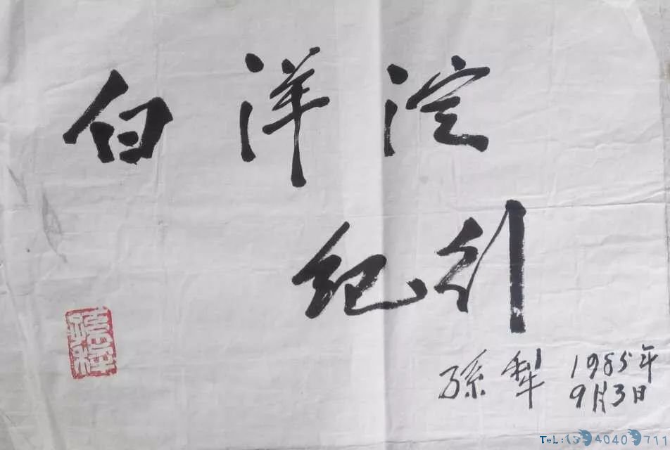 30年前白洋淀老照片！满满都是回忆