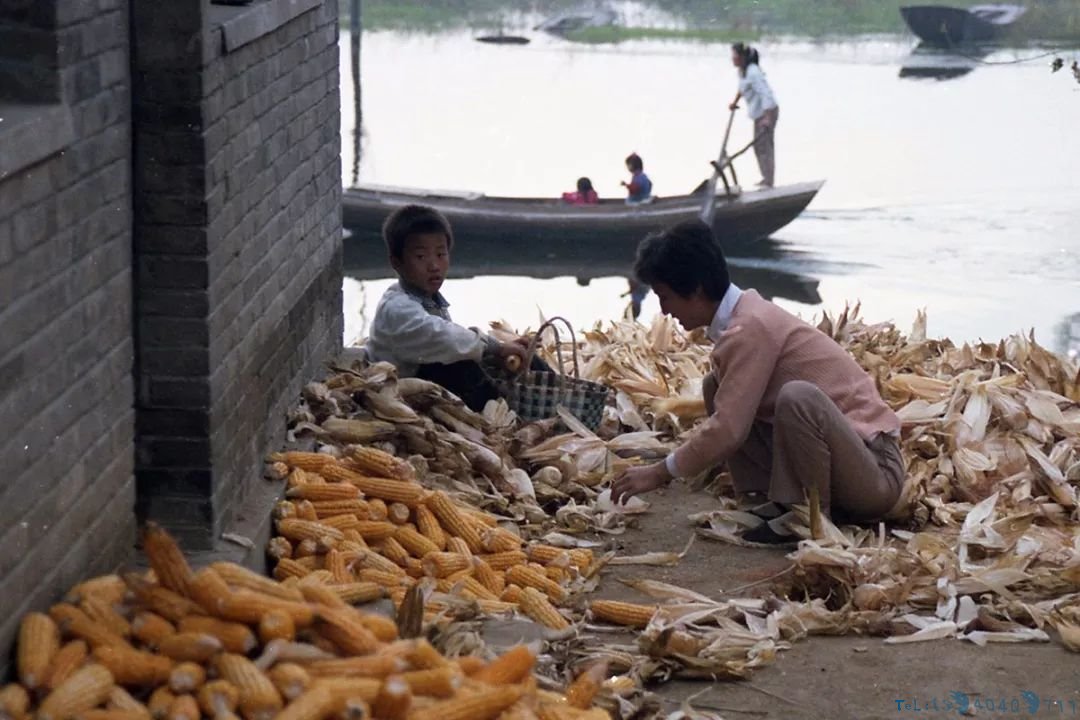 30年前白洋淀老照片！满满都是回忆