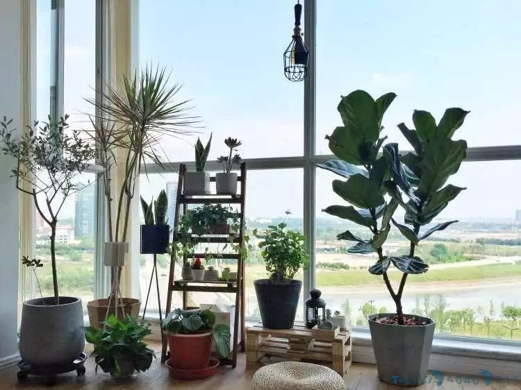 这些东西每天都在用，为什么她选的比你好