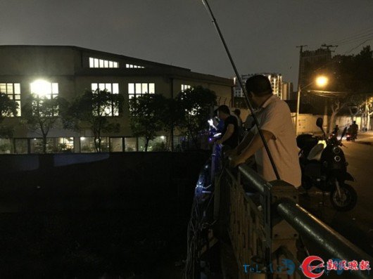 垂钓者蜂拥而至 杨浦区定海桥竟变身“钓鱼场”