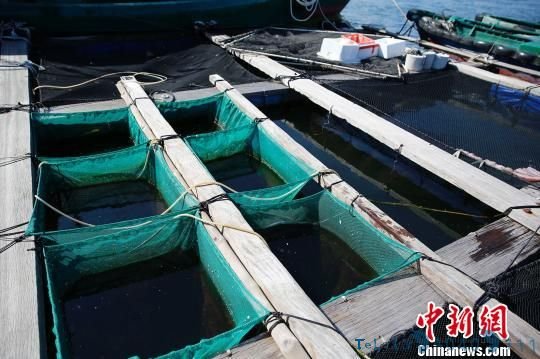 海南陵水新村渔港：疍家人的＂两栖＂新生活