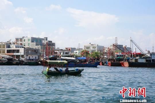 海南陵水新村渔港：疍家人的＂两栖＂新生活