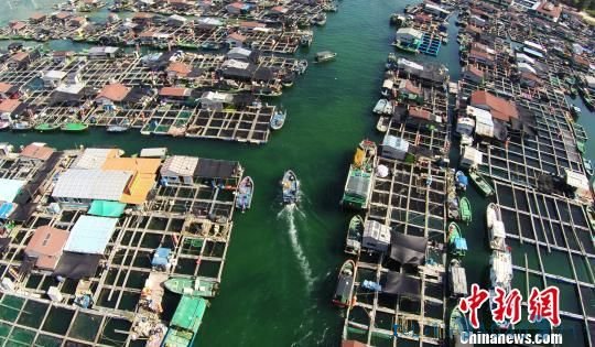 海南陵水新村渔港：疍家人的＂两栖＂新生活