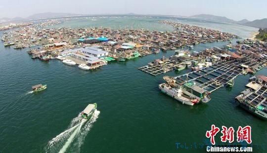 海南陵水新村渔港：疍家人的＂两栖＂新生活