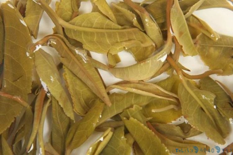 普洱茶渣真的只能扔掉吗?先别扔,茶渣这些作用你知道吗?