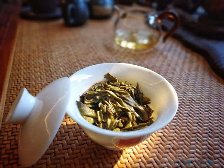 普洱茶渣真的只能扔掉吗?先别扔,茶渣这些作用你知道吗?