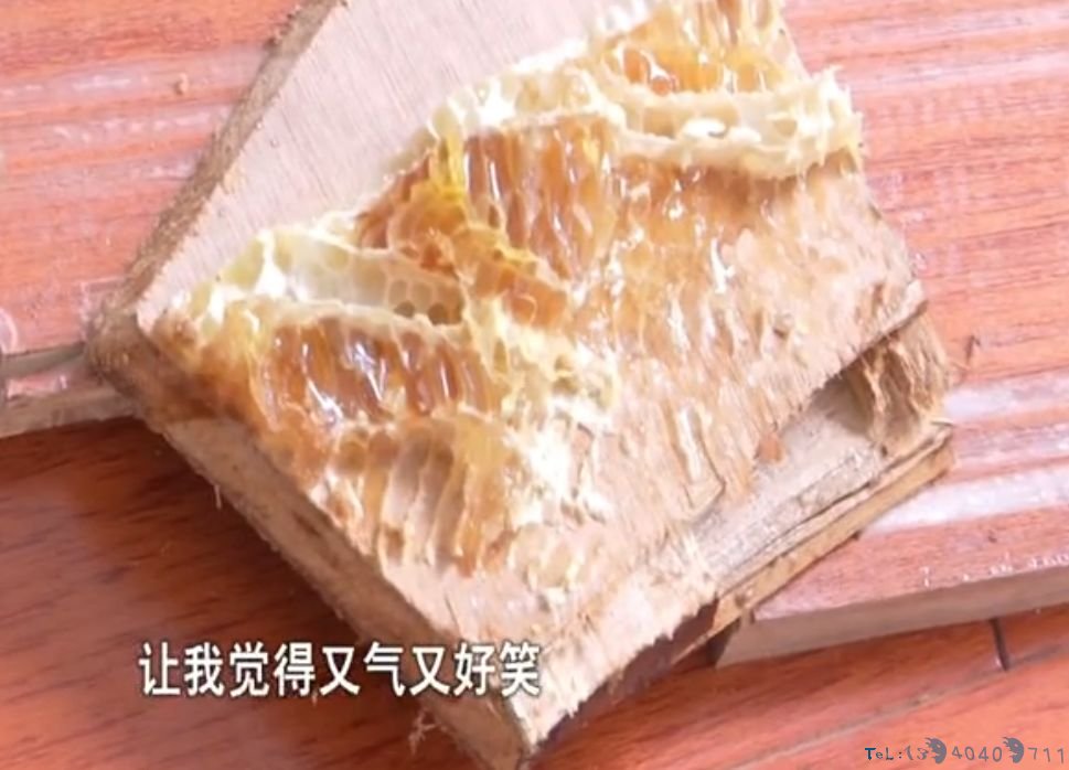 男子翻起卧室地板，里面密密麻麻，不停在动，更离奇的是…
