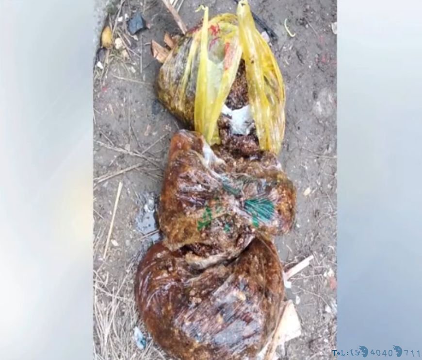 男子翻起卧室地板，里面密密麻麻，不停在动，更离奇的是…
