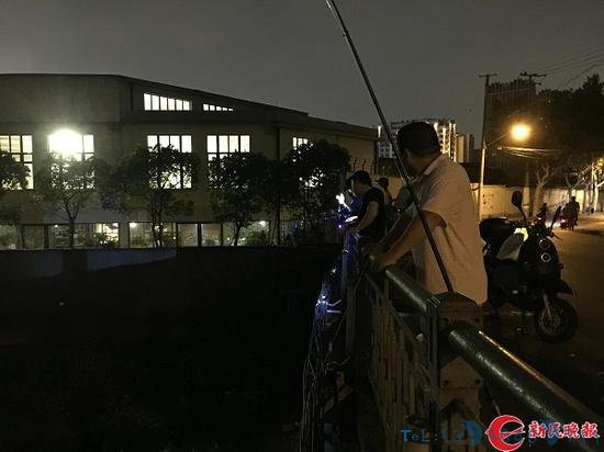 图说：定海桥变身“钓鱼场” 新民晚报记者 陆常青 摄