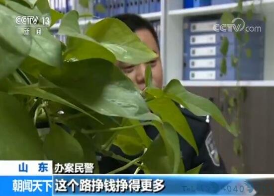 山东警方破获跨省贩毒大案 11名嫌疑人落网