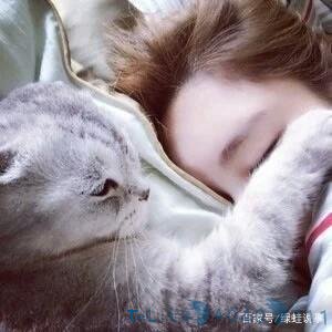 95后女孩与狼共舞 这么霸气的宠物就问你敢不敢试一试吧？