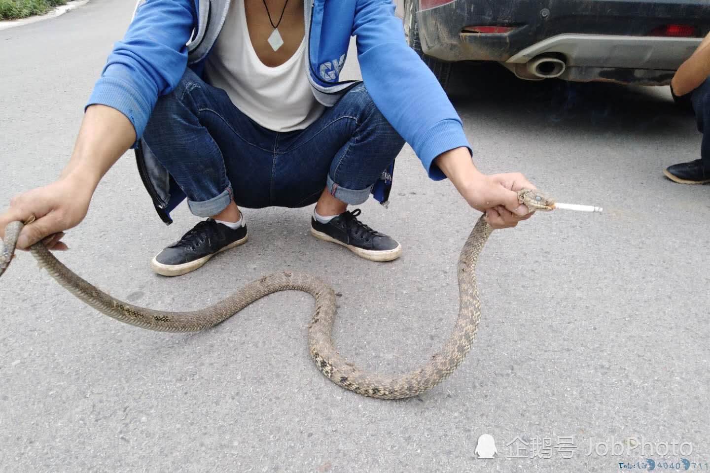 村民活捉近两米长菜花蛇，10分钟后蛇被泡酒