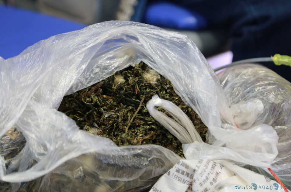 除了佩奇，他们的行囊里还装着这些……