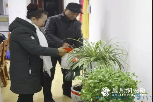 铜陵义安区：棚户区居民喜迁新居过新年