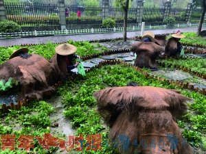 “爱劳动”不光是开学第一课 更应是人生第一课