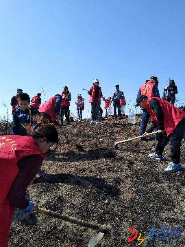 莱阳市心连心义工服务队嵯山植树纪实