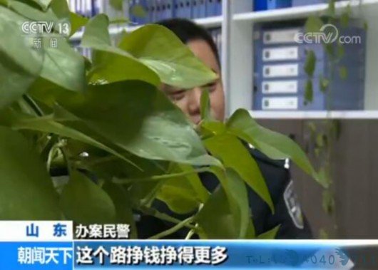 跨省全链条制贩毒网络被摧毁 前知名歌手等11名嫌疑人落网