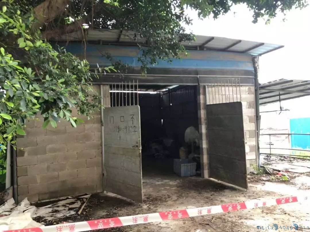 【城记】查获800升非法汽油！我区强拆非法储存危化品场所