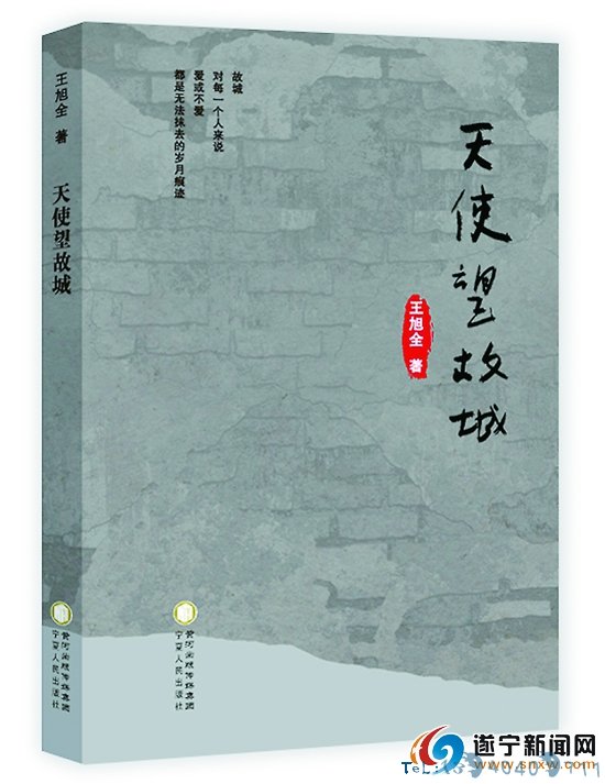 王旭全：张望“故城”的天使