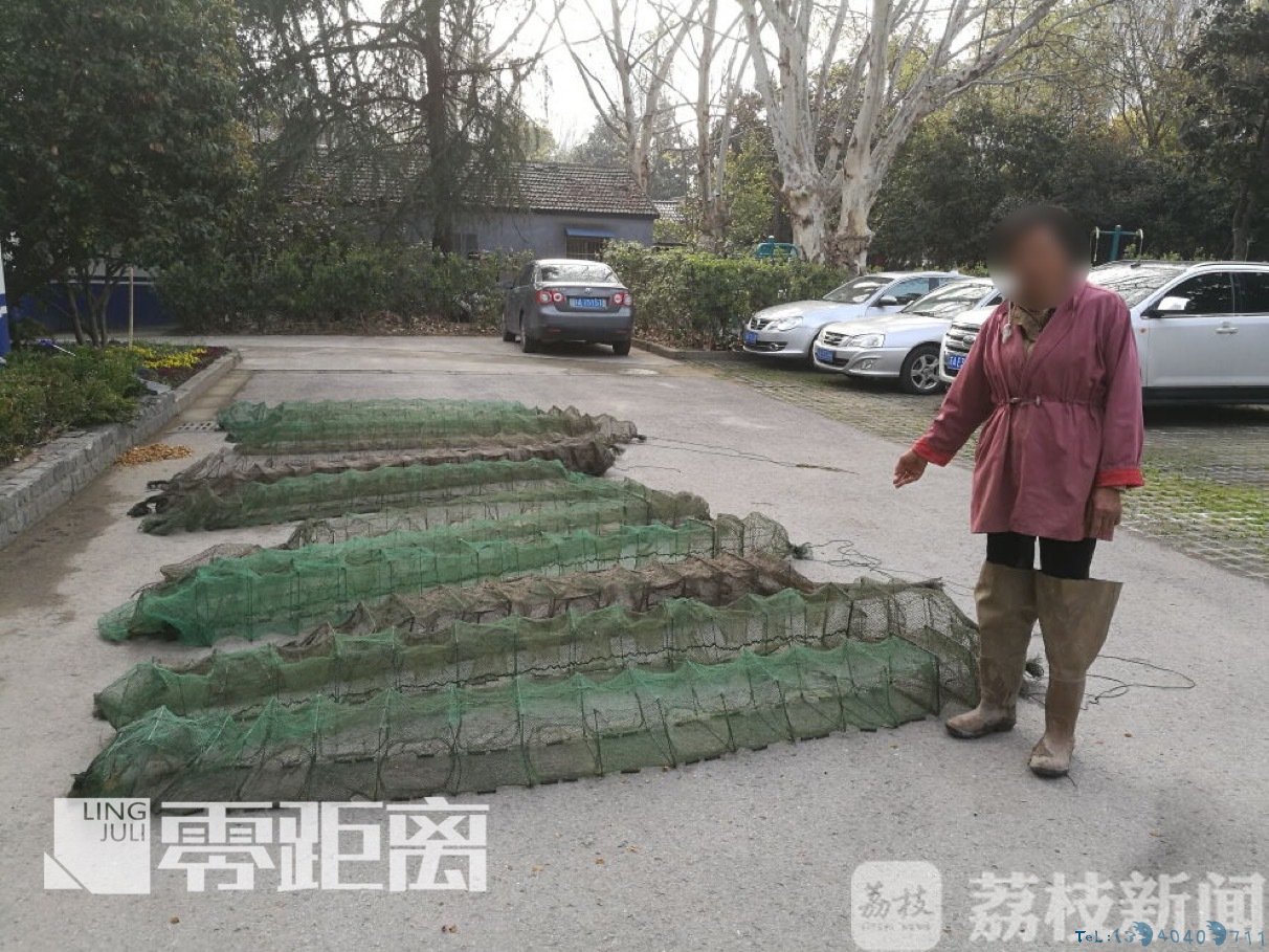 顶风作案！禁渔期下12条地笼 女子被追究刑事责任