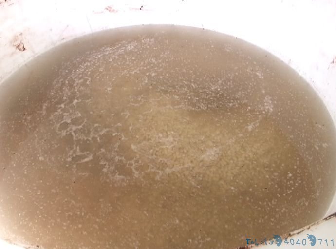 霉斑、飞虫、刺鼻气味！贵阳一黑作坊被查封！你吃的豆沙馅可能是这里做的