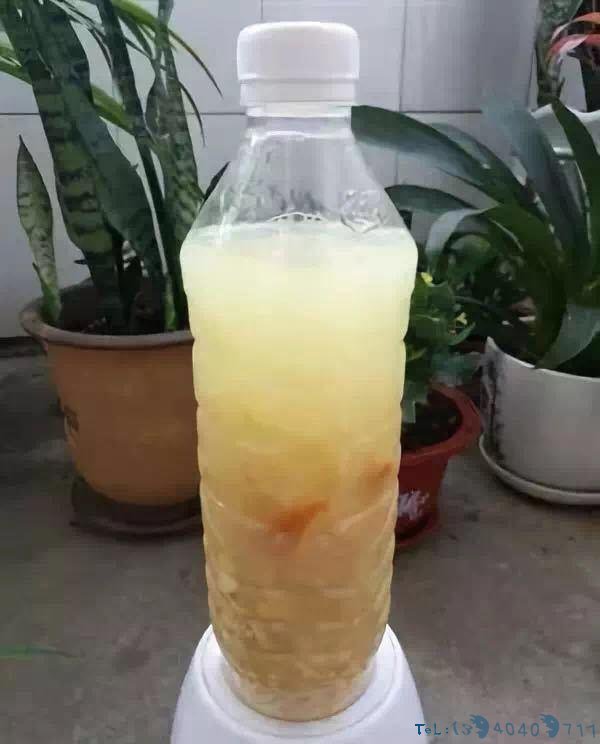 黄豆肥有“臭味”，试着加1种“小东西”，养花好用，肥效充足！