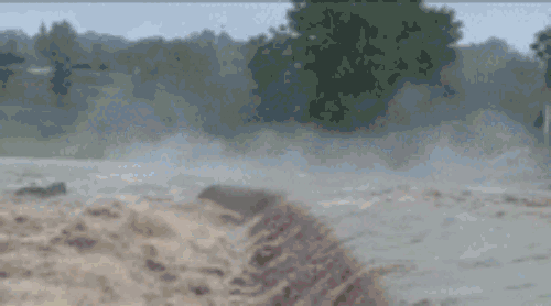 龙岩启动市防洪防台风Ⅳ级应急响应