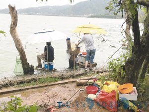西华湿地公园里有人偷钓：钓起了鱼丢下了“德”