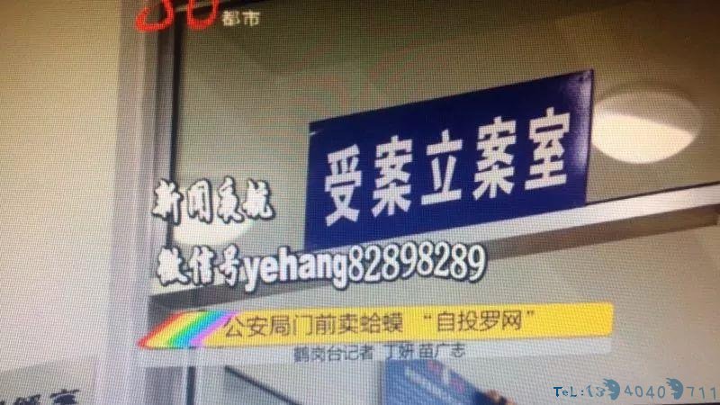 竟然敢在公安局门口卖这个！一共174只！猎捕20只以上就构成非法捕猎罪！