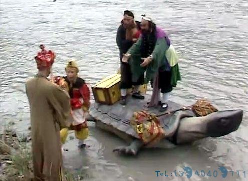 日本景区一死亡鹿被解剖,发现胃里全是塑料:再不警醒就晚了