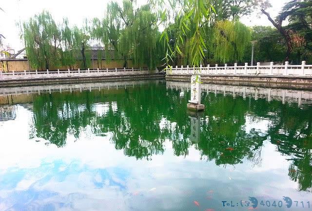 山东济南好玩的地方，除了趵突泉，这3处景点也不错